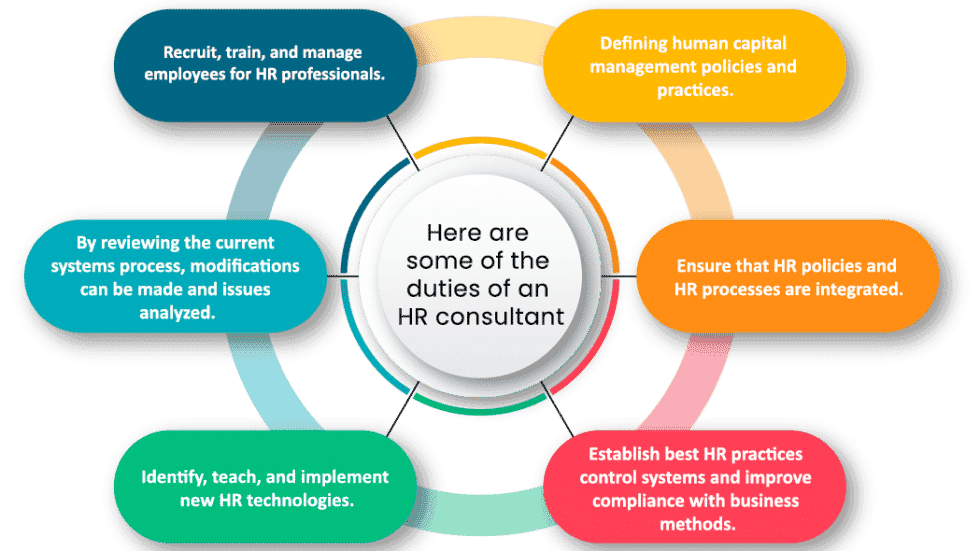 The Role and Job Responsibilities of an HR Consultancy